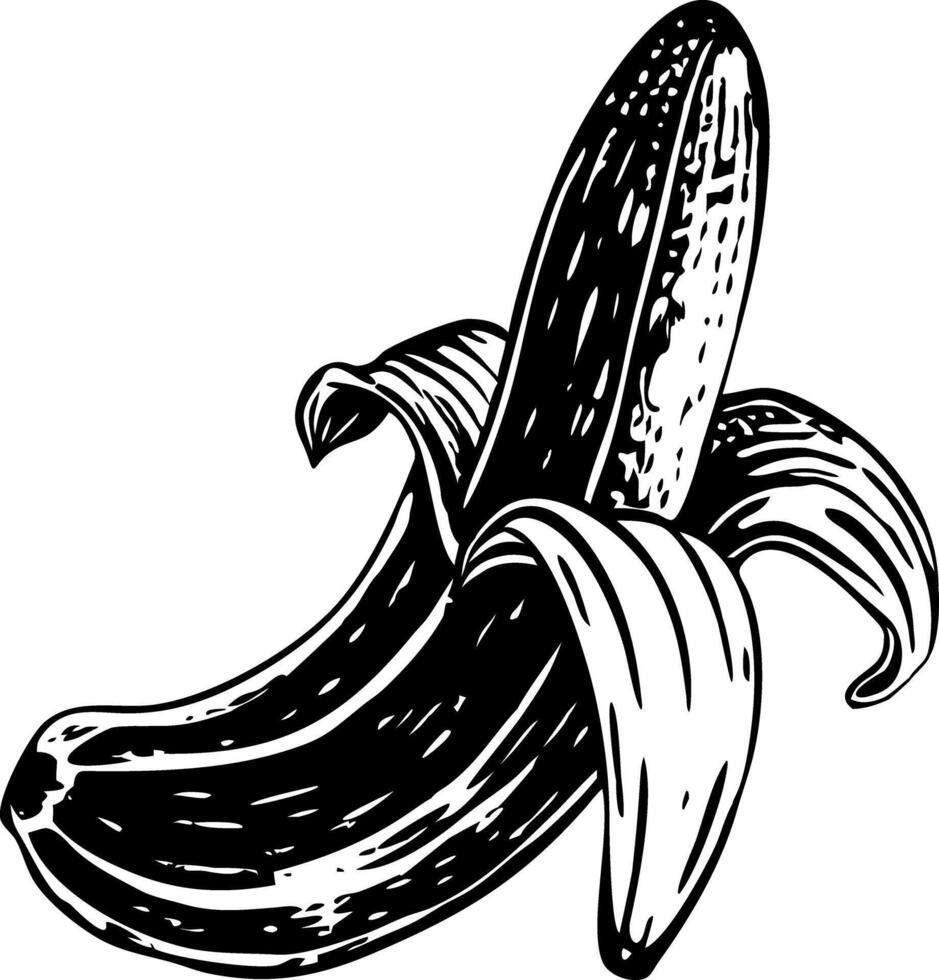 A banana illustration in vintage style vector