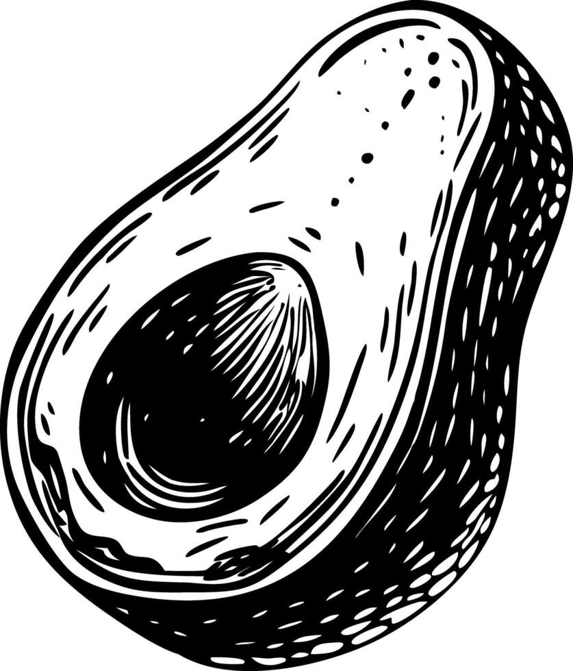 A vintage style illustration of avocado vector