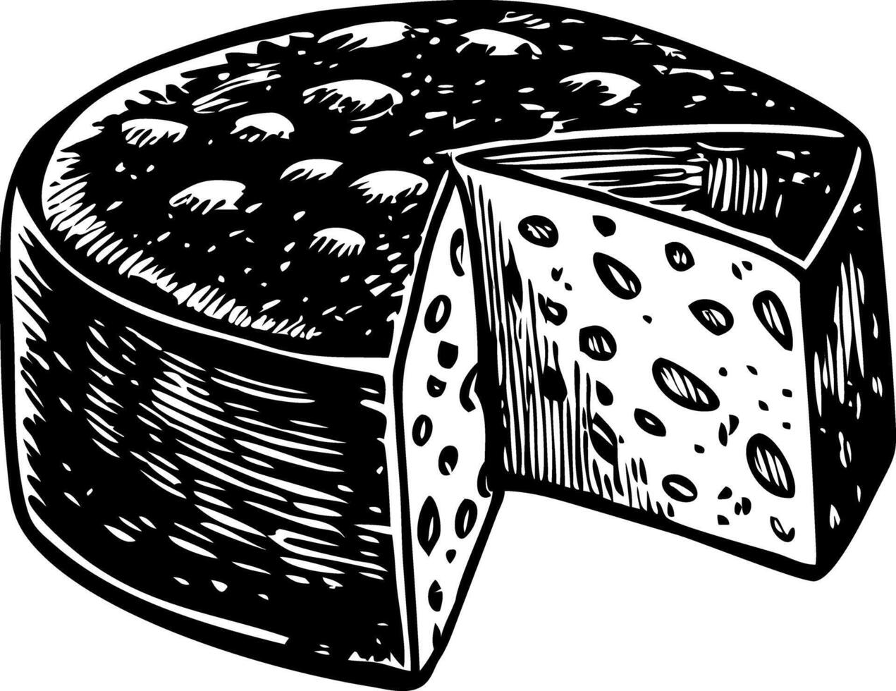 A sketchy style illustration of cheese vector