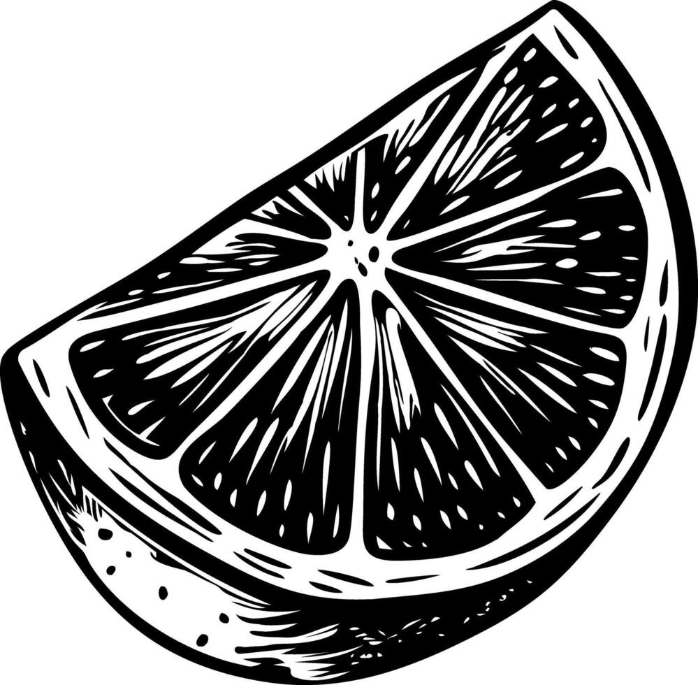 A sketchy style illustration of lemon slice vector