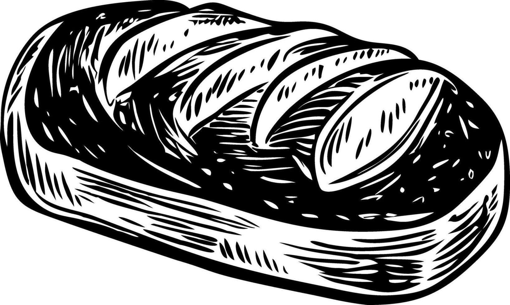 A vintage style illustration of sourdough loaf vector