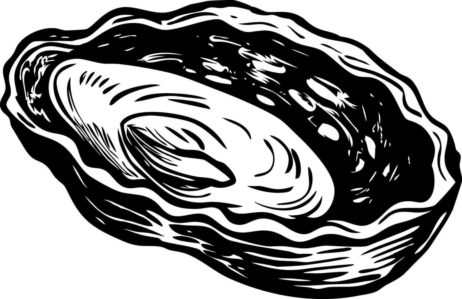 A vintage style illustration of oyster vector