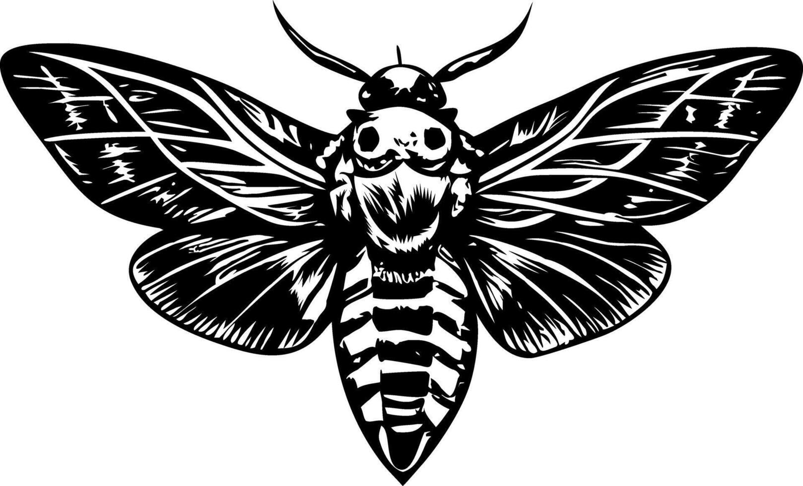 Death moth illustration in vintage style vector