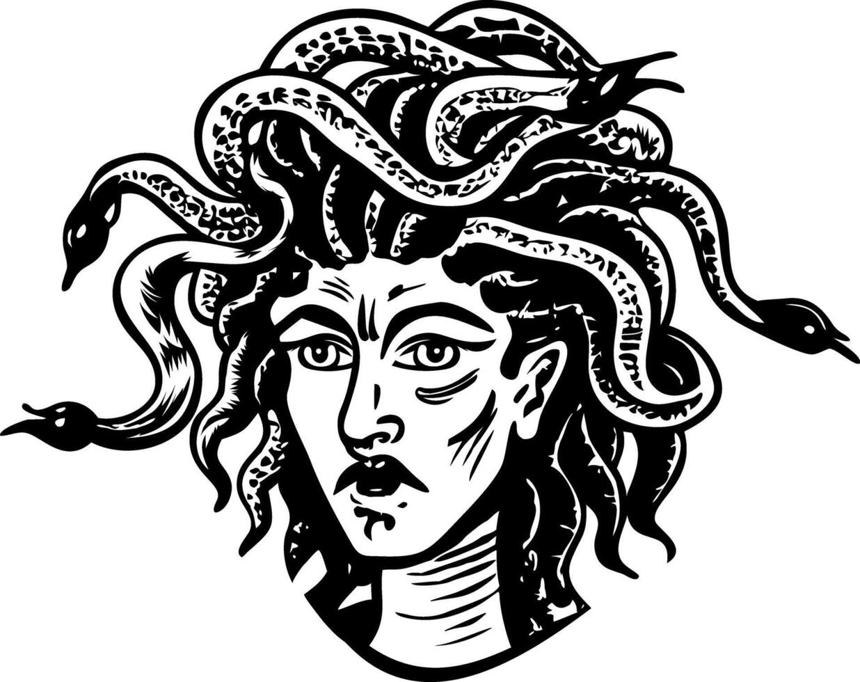 A vintage style illustration showing medusa vector