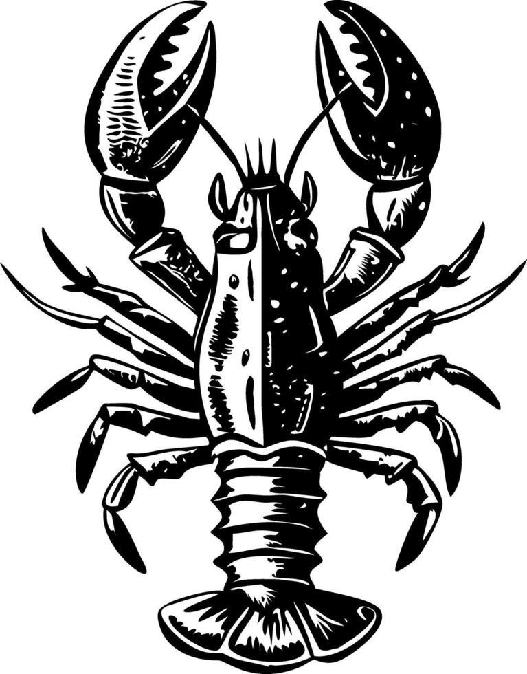 A hand drawn illustration of lobster vector