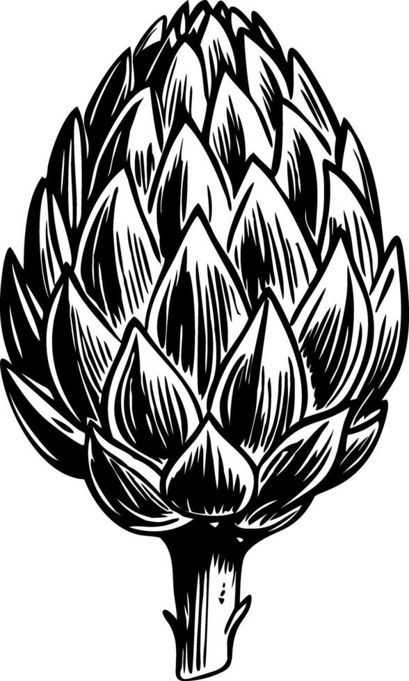 French artichoke illustration in hand drawn style vector