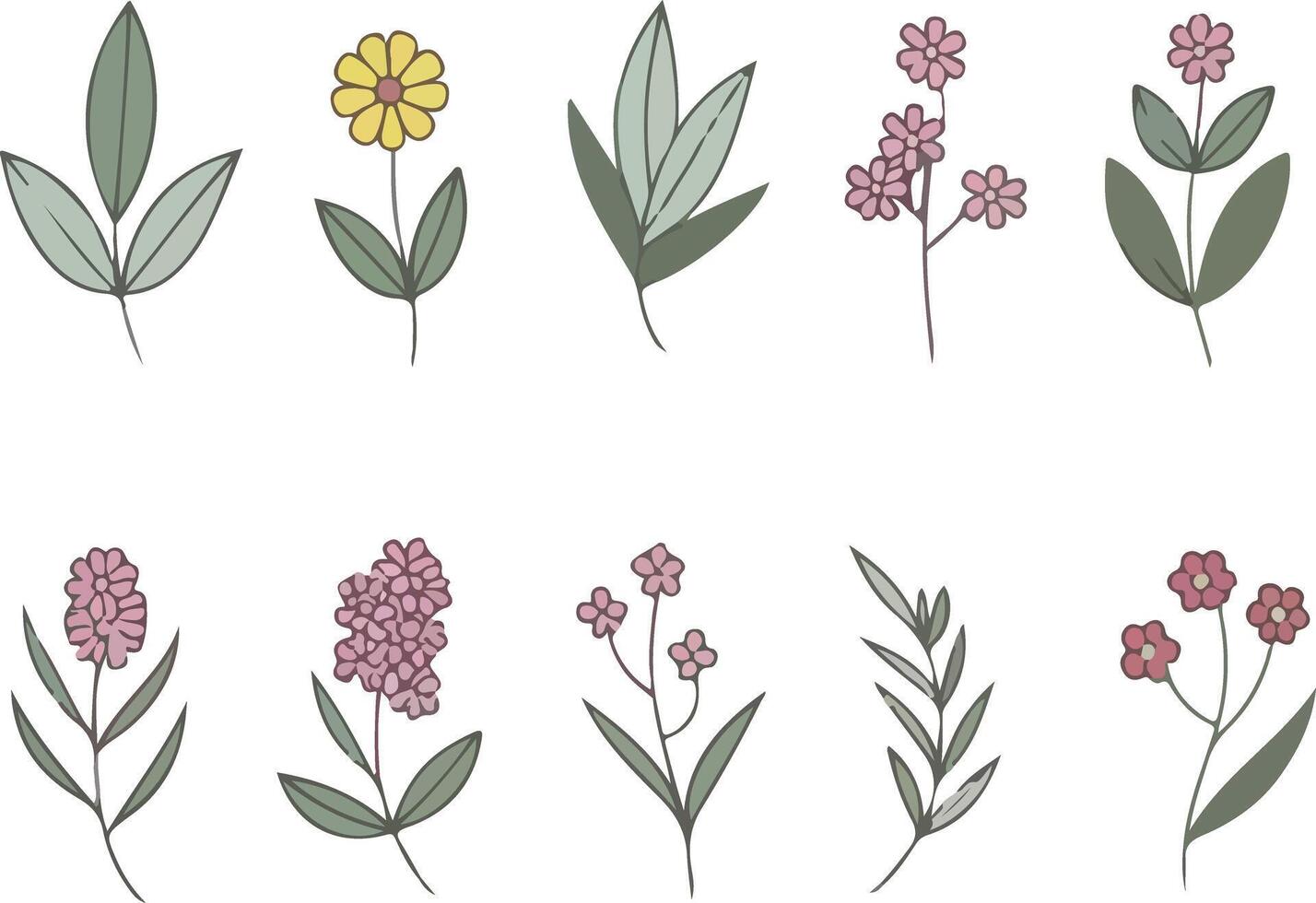 dynamic garden flower bloom collage in vibrant colors vector