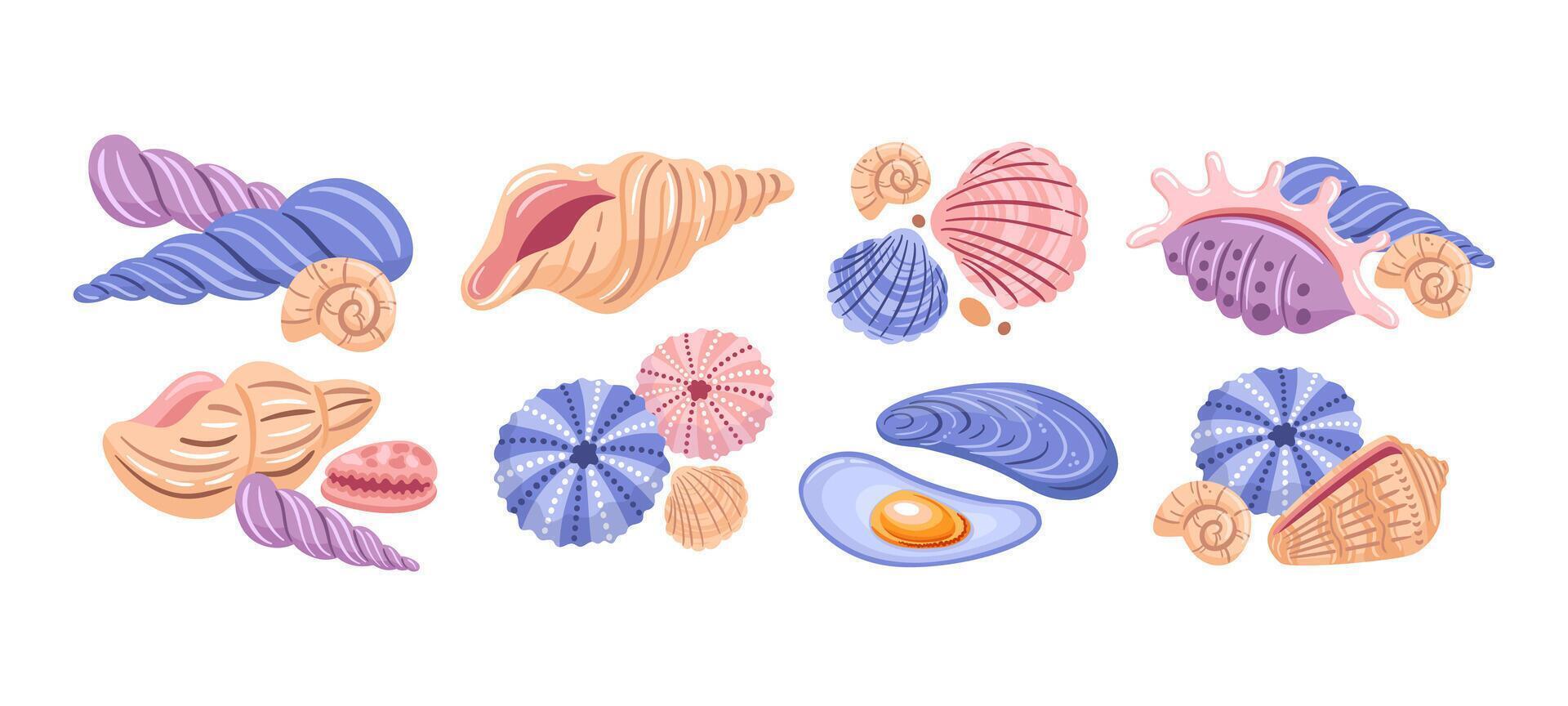 illustration showcases a collection of seashells, perfect for capturing the essence of coastal themes. The vibrant designs highlight the beauty of marine life, evoking a sense of tranquility vector