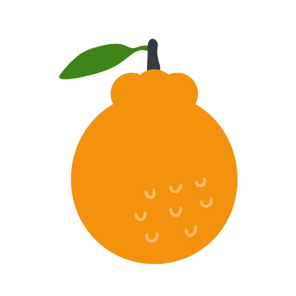 Jeju island hallabong orange singapore korea fruit. Perfect for stickers, poster, label, sale, card. Hand drawn illustration isolated on a white background. vector