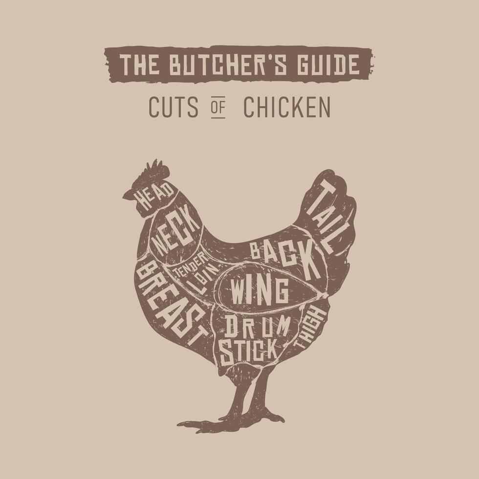 Vintage chicken cuts diagram for culinary and educational use vector