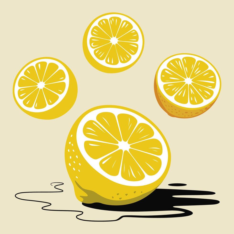 Bright yellow lemon slices and a lemon with shadow vector
