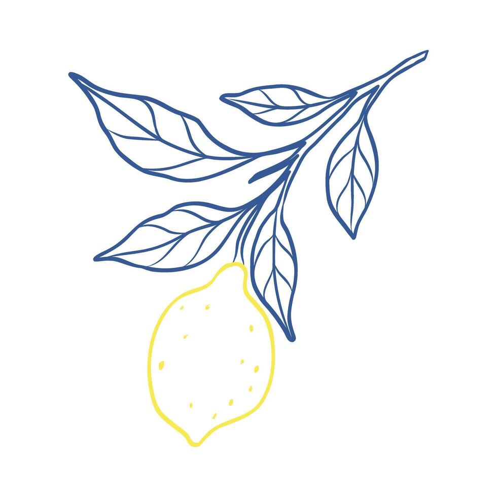 A drawing of a lemon with a leaf on it. The leaf is blue and the lemon is yellow vector