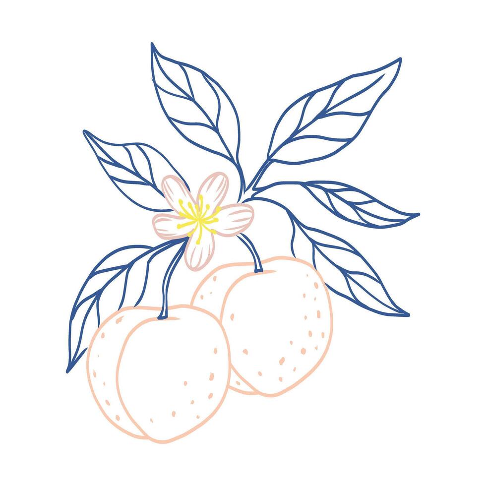 A drawing of a peach tree with two peaches on it. The drawing is in blue and pink vector