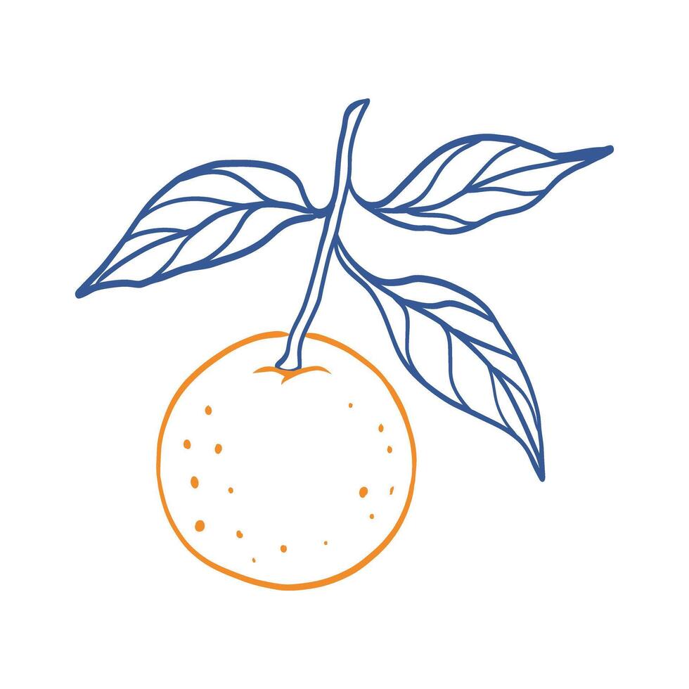 A drawing of an orange with a leaf on top. The orange is bright orange and the leaf is a deep blue color. The drawing has a playful and whimsical feel to it vector