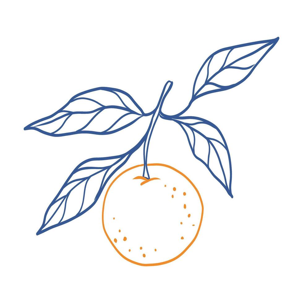 A hand-drawn illustration of an orange with a leaf on top. The orange is a bright, juicy color, and the leaf is a cool, calming shade of blue. The drawing conveys a sense of freshness and vitality vector