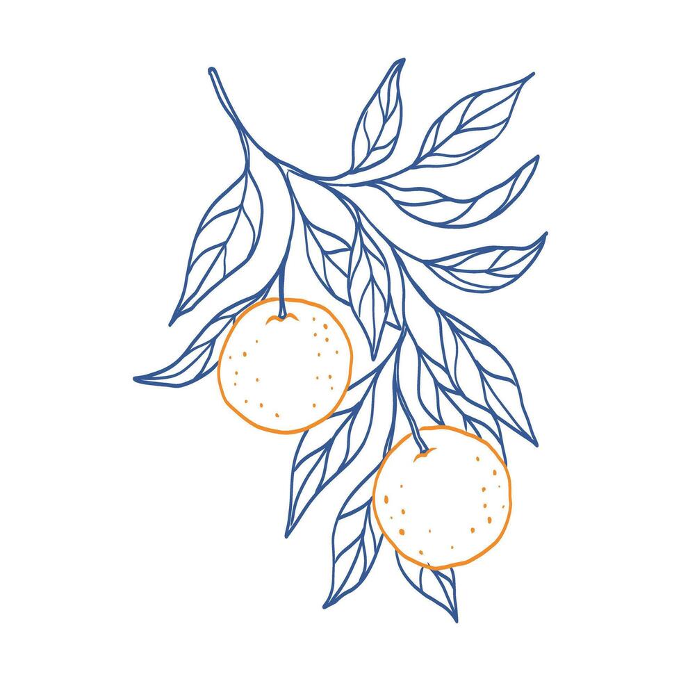 A blue and orange drawing of an orange tree branch with two oranges on it. The drawing has a light and cheerful mood vector