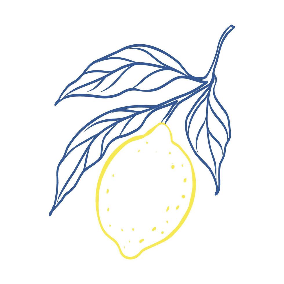 A drawing of a lemon with a leaf on it. The drawing is blue and yellow. The lemon is shown in a stylized way, with the leaf and stem also drawn in a stylized way vector