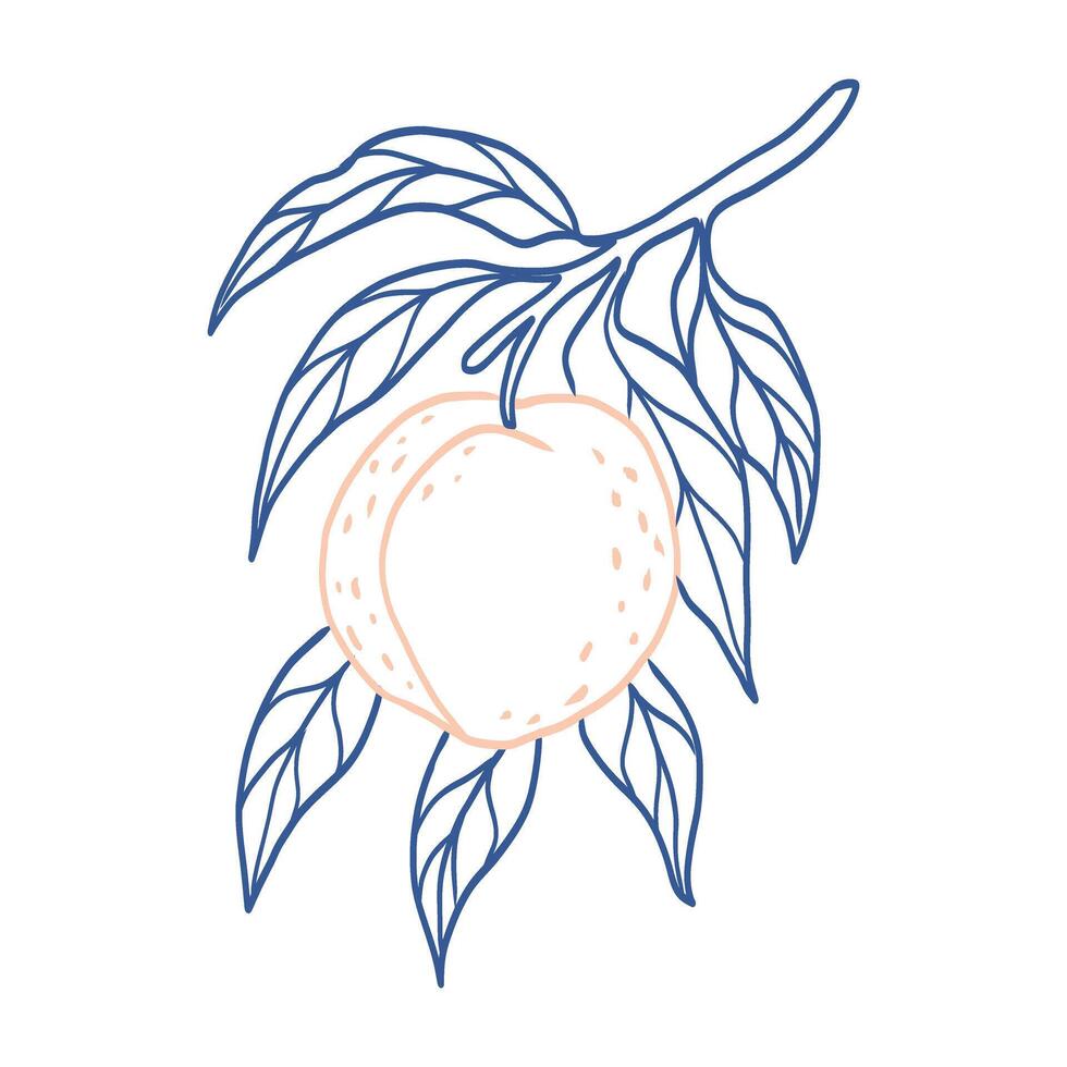 A blue and pink drawing of a peach with a leaf. The peach is shown in the center of the image, with the leaf surrounding it. The drawing has a whimsical and playful feel to it, with the bright colors vector