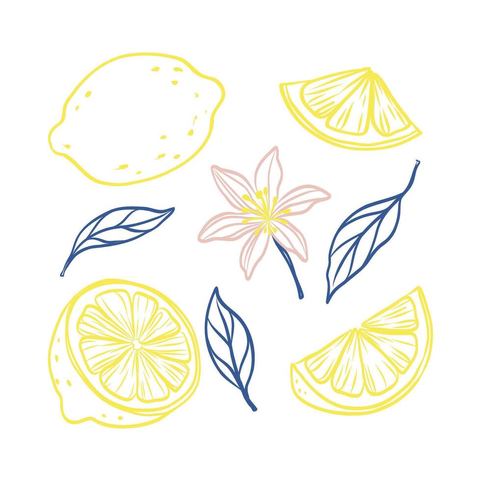A drawing of a lemon, a flower, and a leaf. The drawing is colorful and has a happy, cheerful mood vector