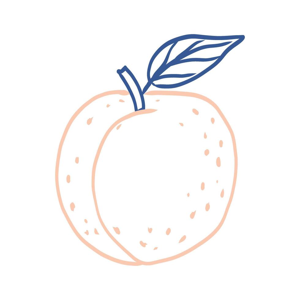 A peach with a leaf on it. The peach is pink and the leaf is blue. The image has a cute and playful feel to it vector