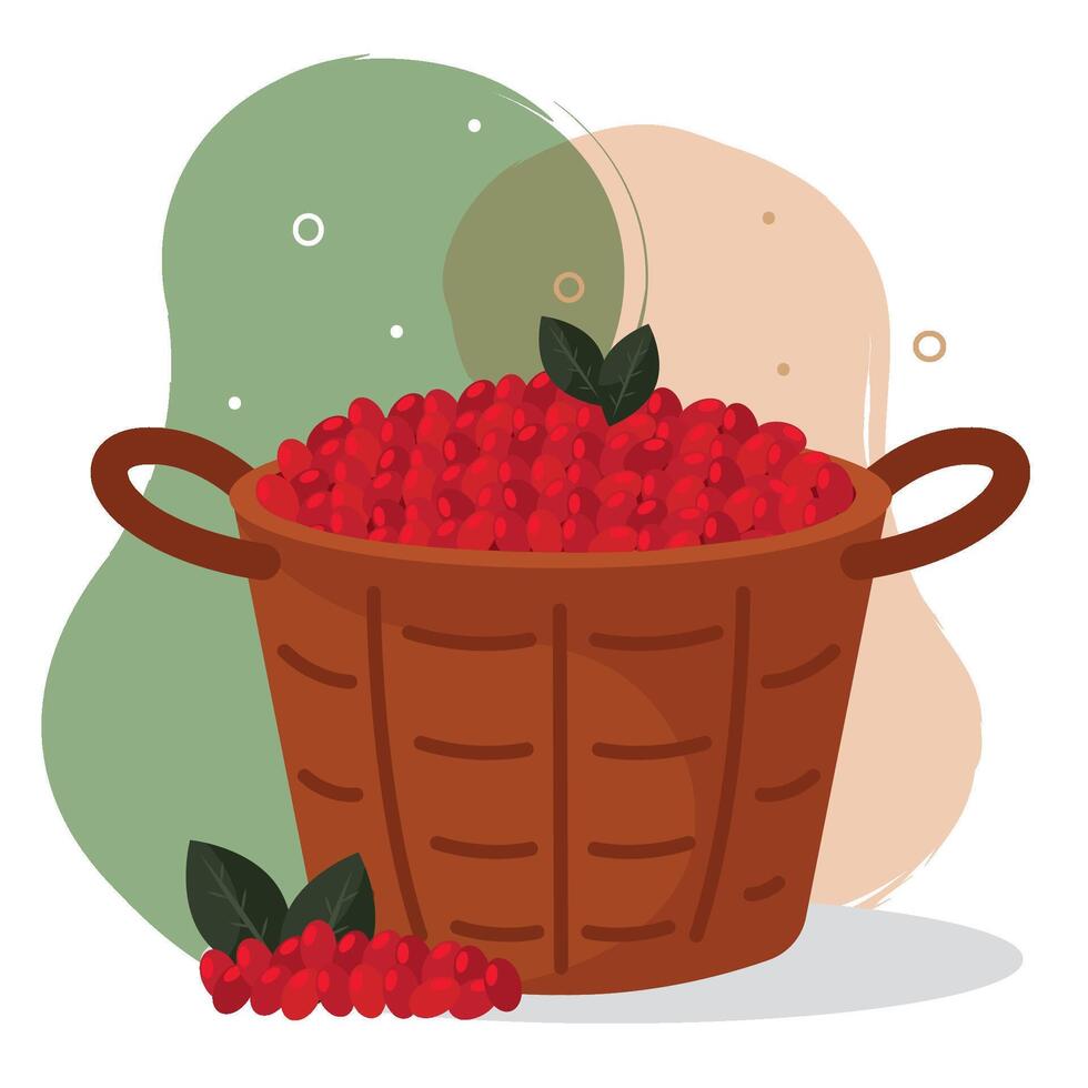 Basket full of cherries. vector