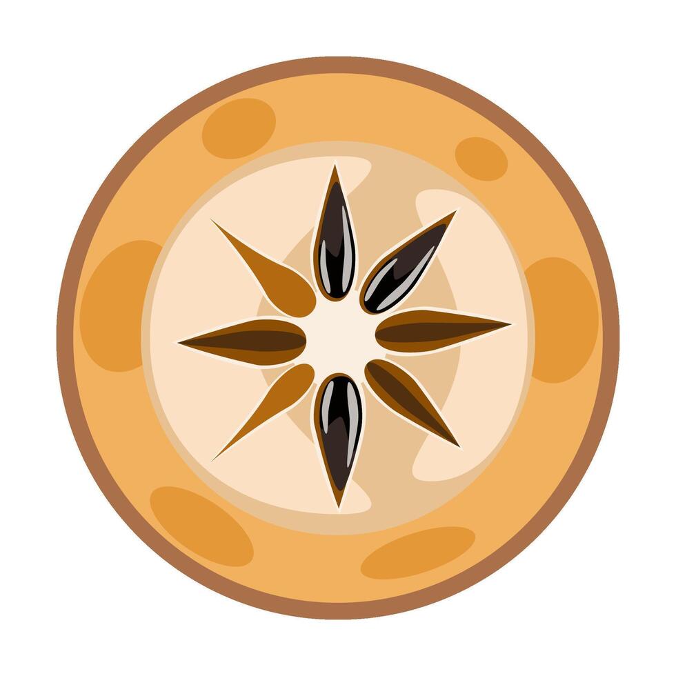 Sapodilla naseberry Jamaican fruit slice vector