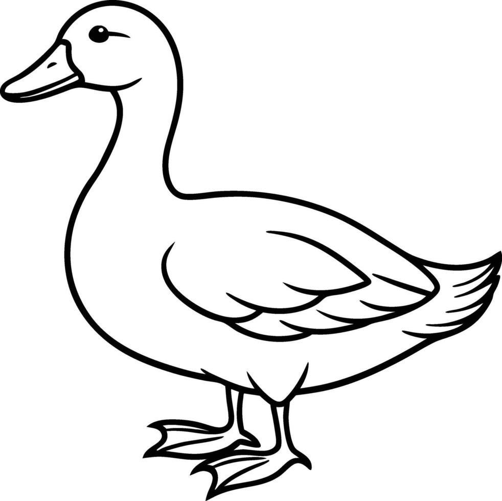 Black And white Duck Outline Graphic, Illustration Livestock Drawing. vector