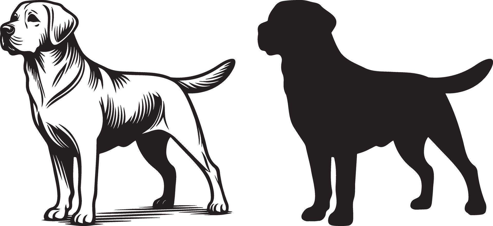 Labrador Retriever Dog and Silhouette Illustration. vector