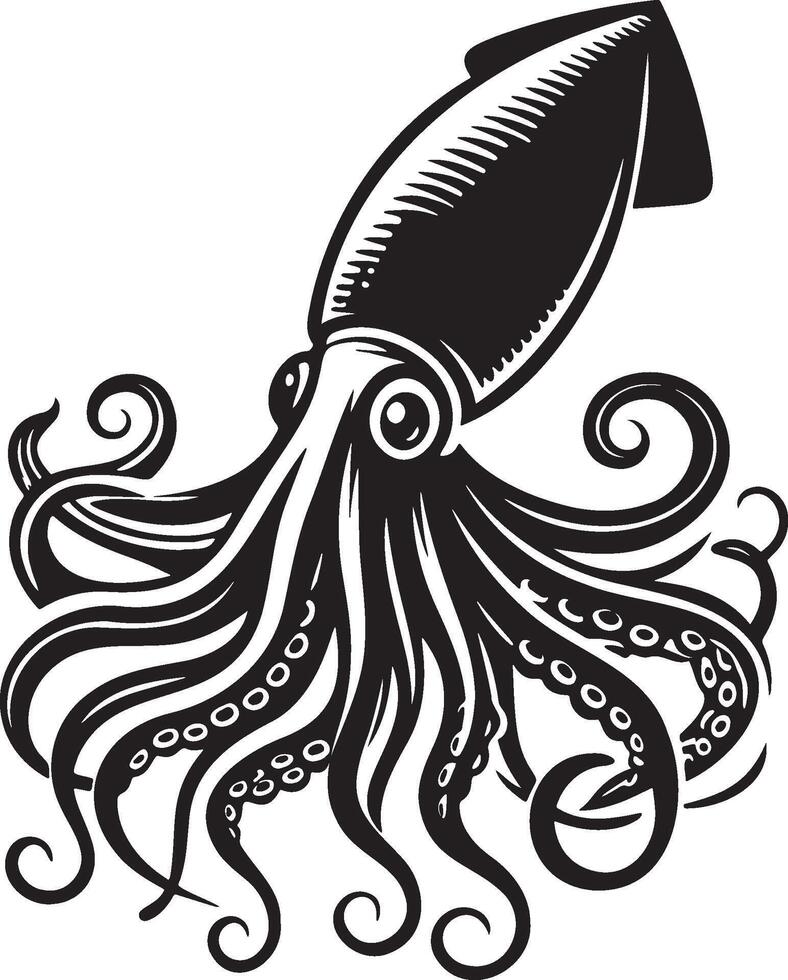 Squid Sketch Illustration. vector