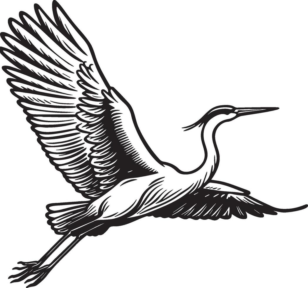 Heron Flying Sketch Illustration. vector