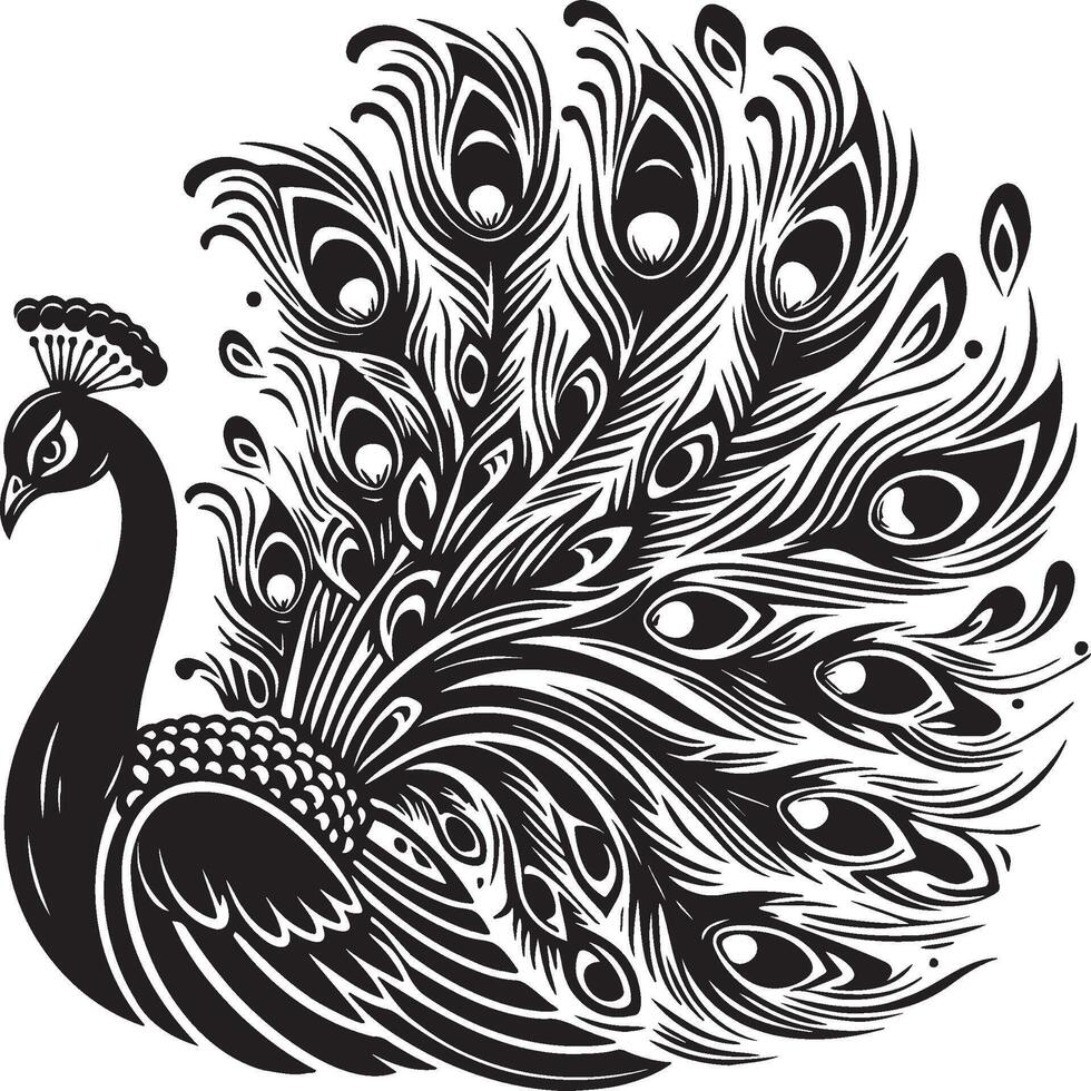 A Peacock Sketch Illustration. vector