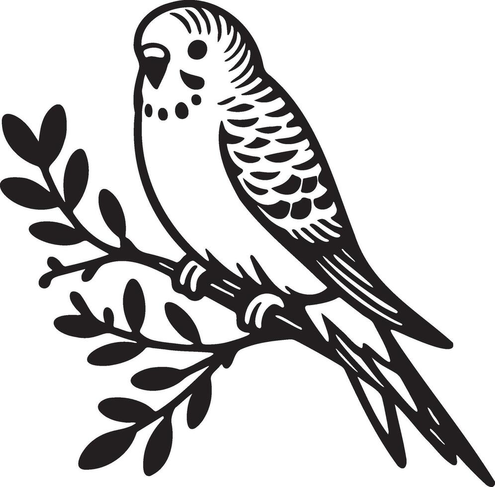 Budgie on Branch Sketch Illustration. vector