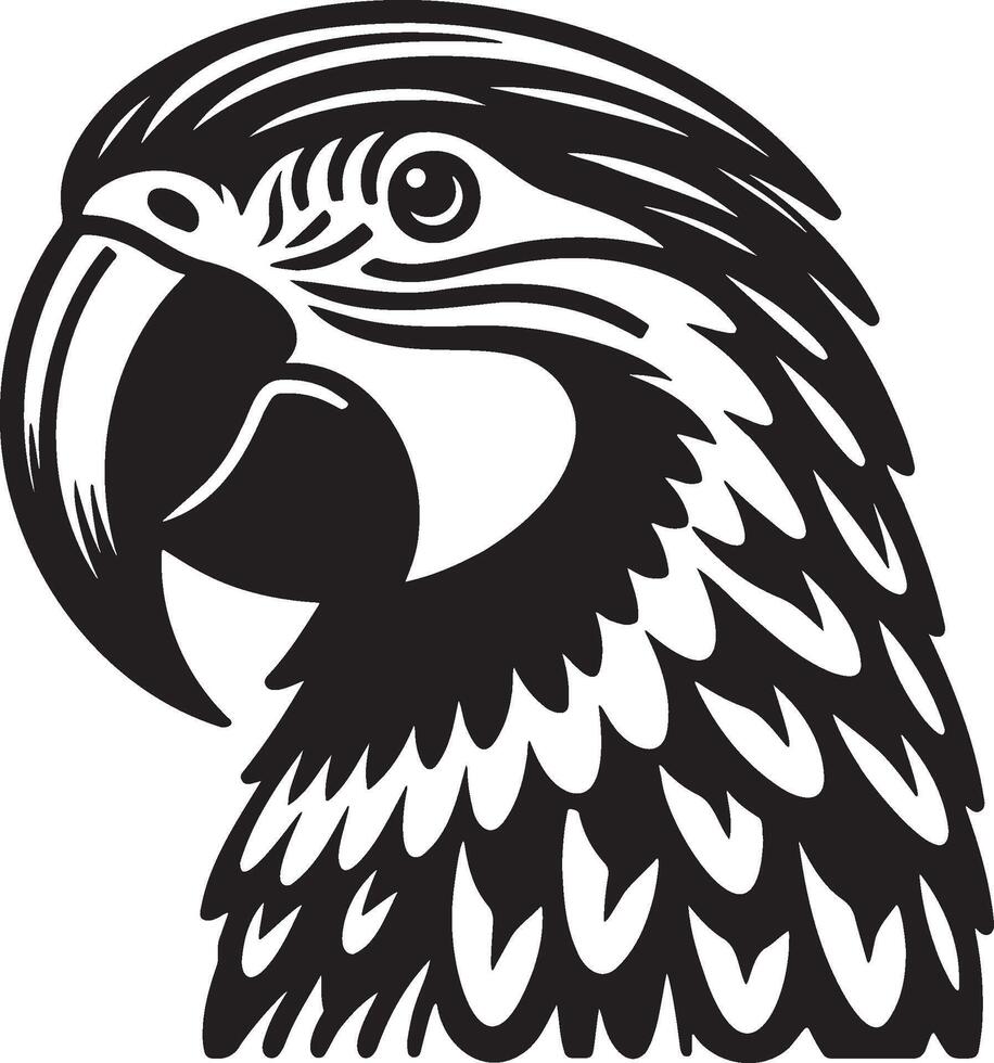 Macaw Head Illustration. vector