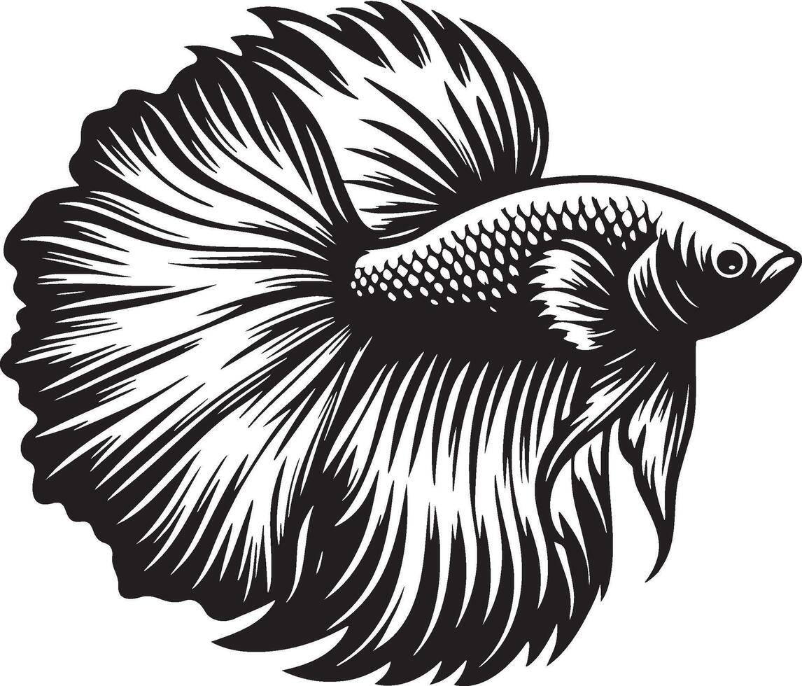 A Betta Splendens Fish Sketch. vector