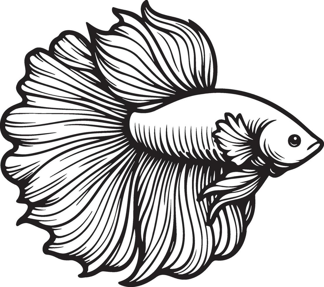 Betta Splendens Fish Sketch Illustration. vector