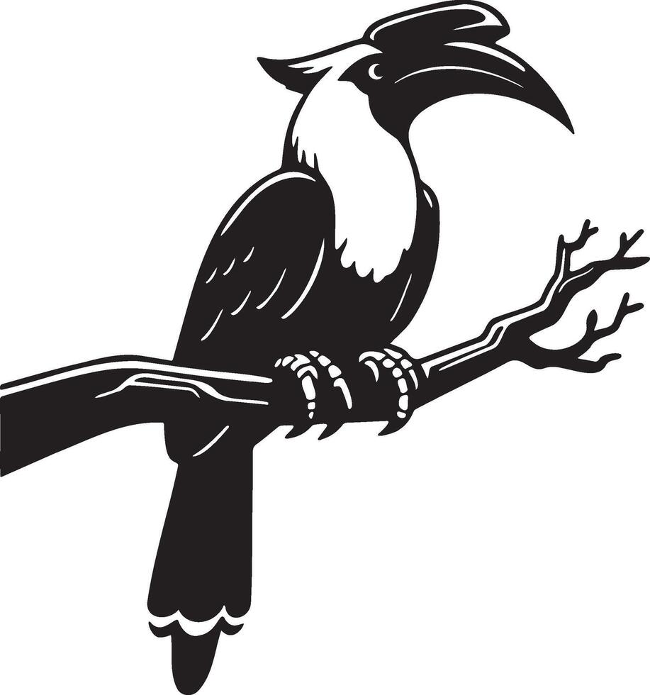 Rhino Hornbill Illustration. vector