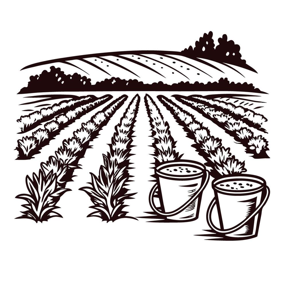 Black and white of rows of crop fields with water buckets in foreground vector