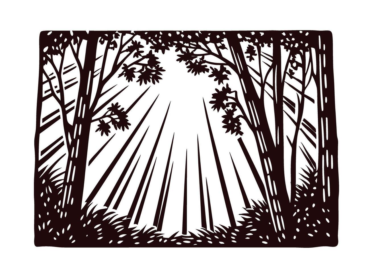 Sunbeams filtering through forest trees in black and white nature scene vector