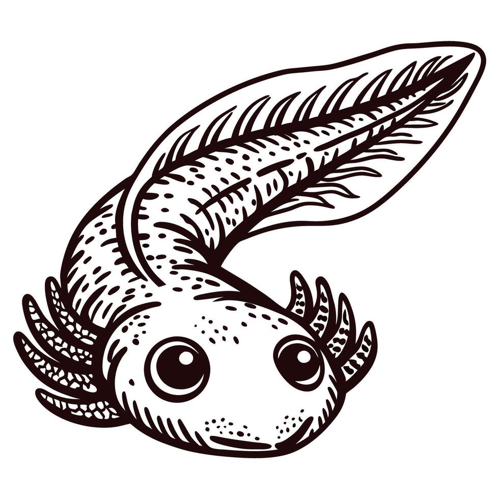 of a smiling axolotl with leaf like fins in detailed black and white art vector