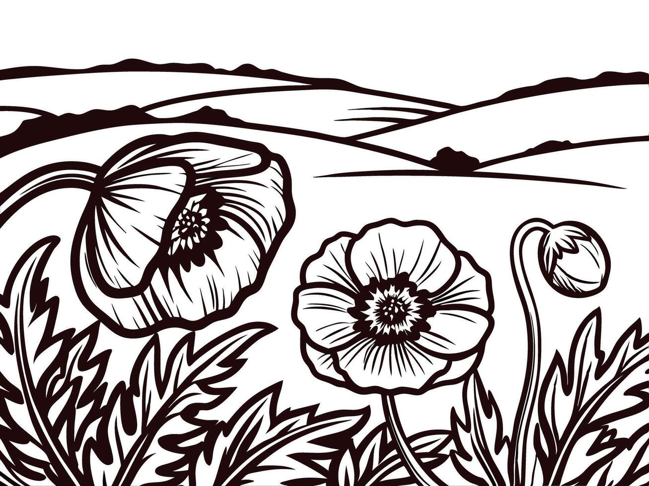 Detailed botanical of poppies in a rolling hills landscape vector