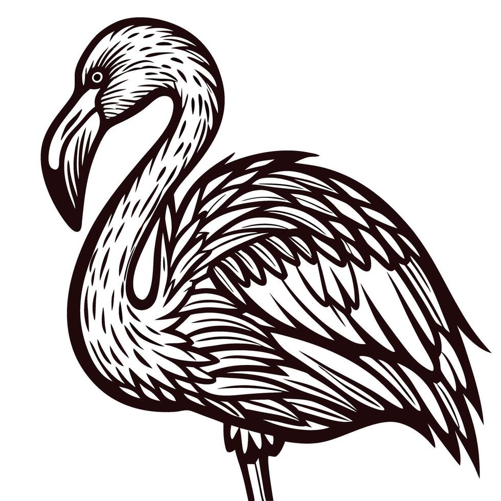 Stylized flamingo in black and white art design vector