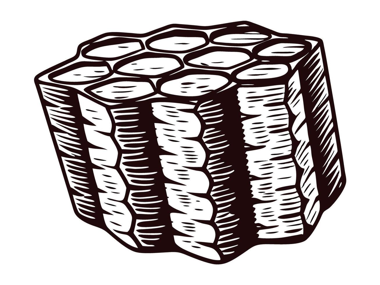 of a detailed wooden log cross section with growth rings vector