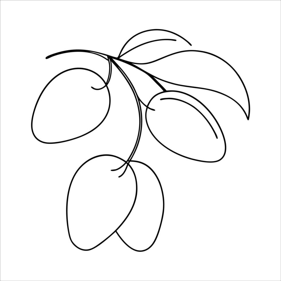 Continuous line drawing of olives in minimalist style perfect for Mediterranean cuisine concepts organic food decor kitchen themed art or healthy lifestyle illustrations vector