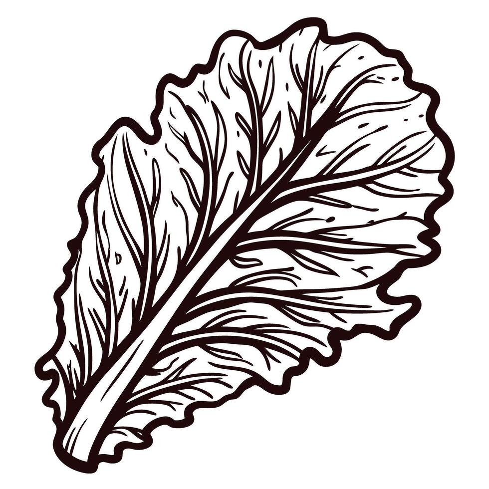 Detailed of a leaf with prominent veins and edges vector