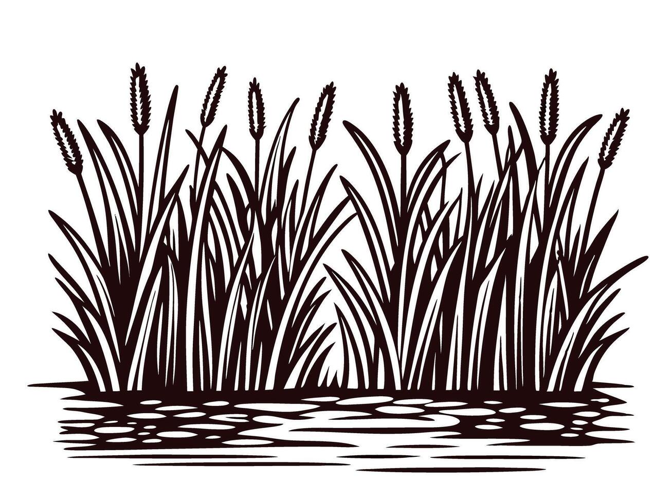 Silhouette of tall cattails along a tranquil pond vector
