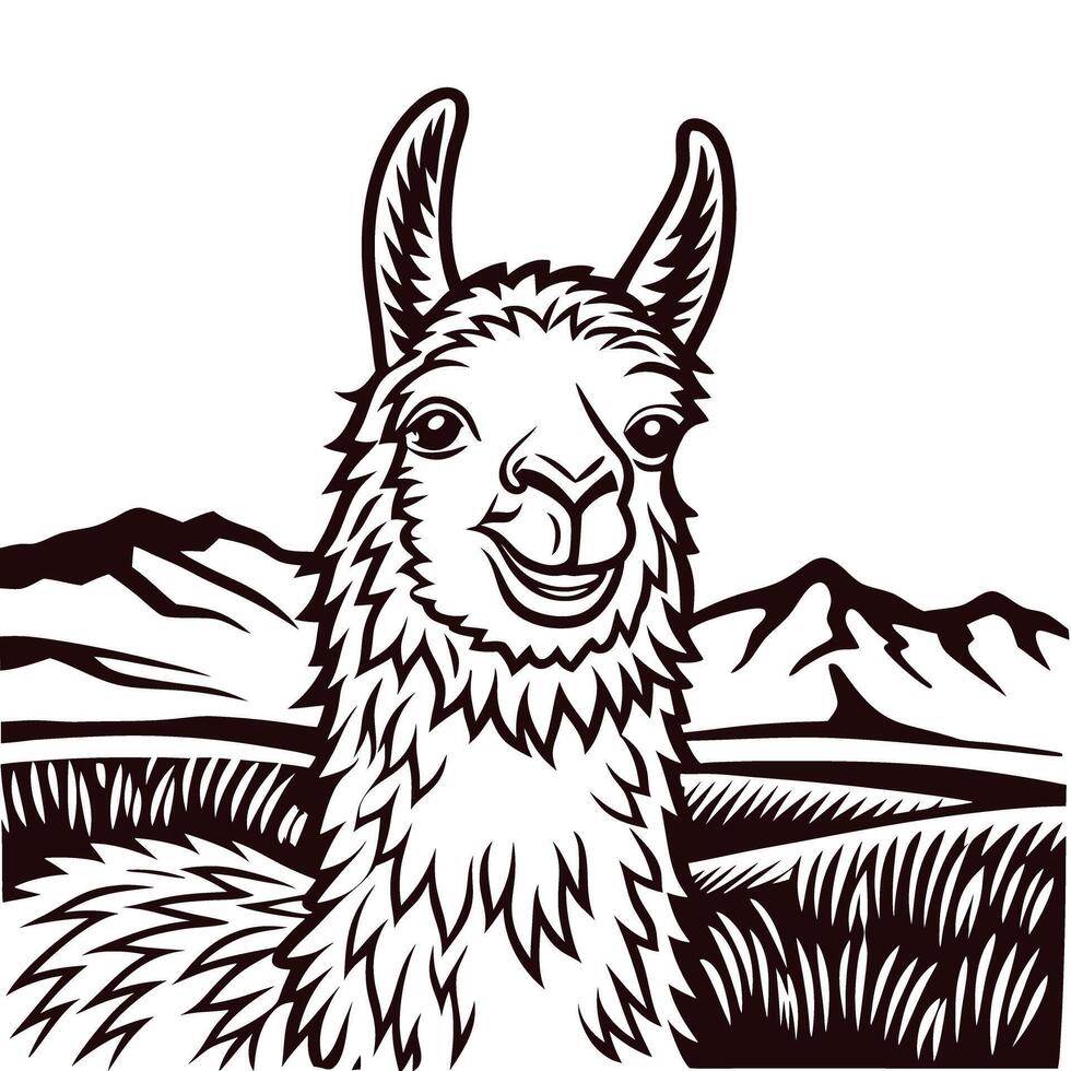 Llama in mountainous landscape monochrome with detailed line art vector