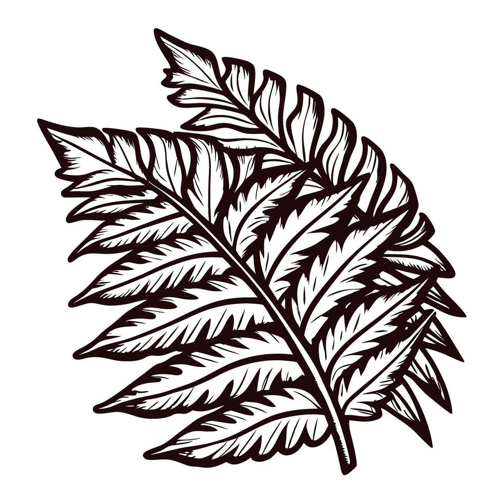 Intricate black and white fern leaf with detailed vein patterns and delicate edges vector