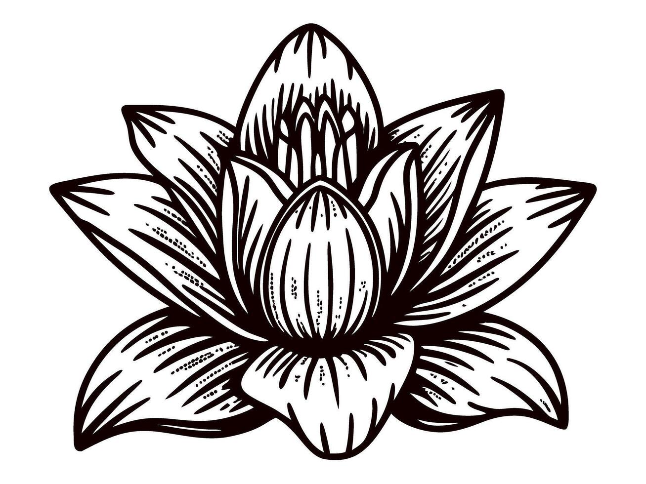 Detailed lotus flower with intricate linework displaying botanical elegance vector