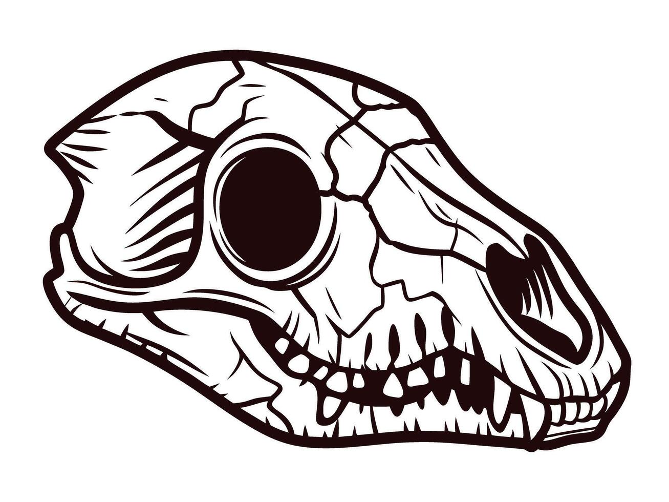 Detailed of a fossilized prehistoric animal skull with cracks and distinct features vector