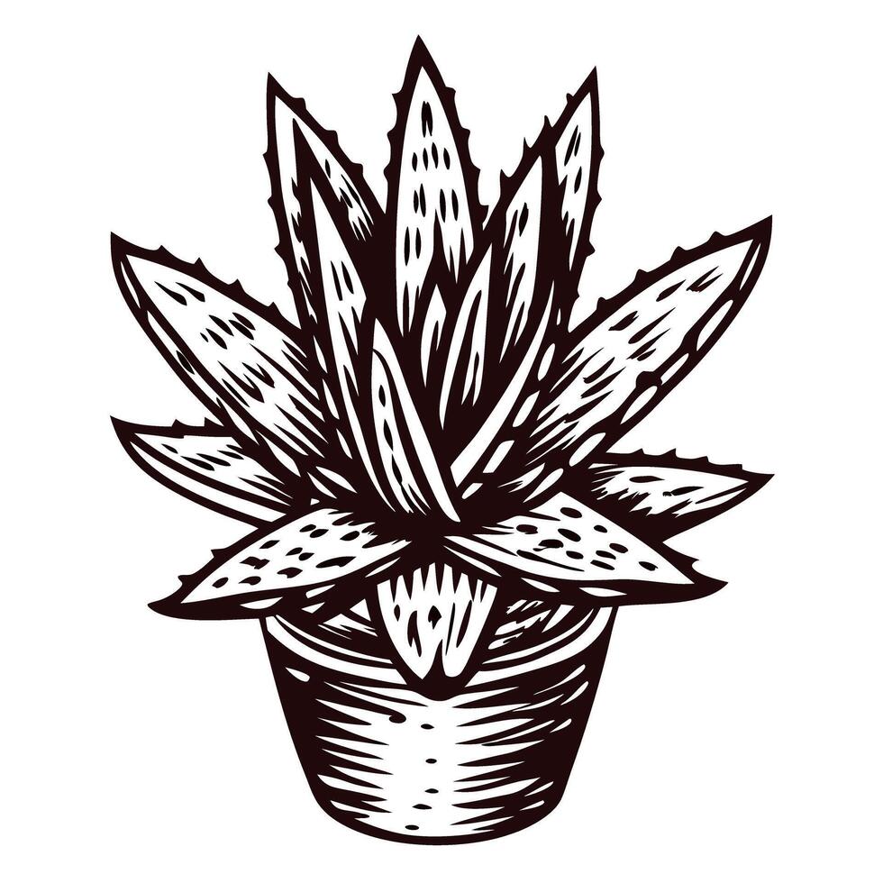 Intricate aloe vera plant sketch in pot detailing texture and form vector